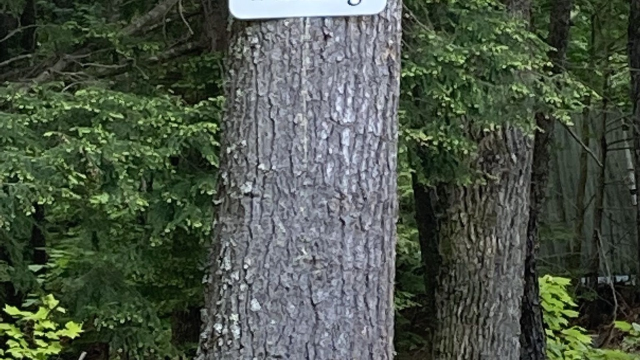 Photo of Others in Bartlett