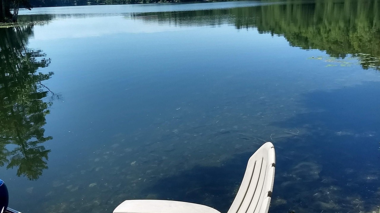Photo of Outdoor in Forest Dale