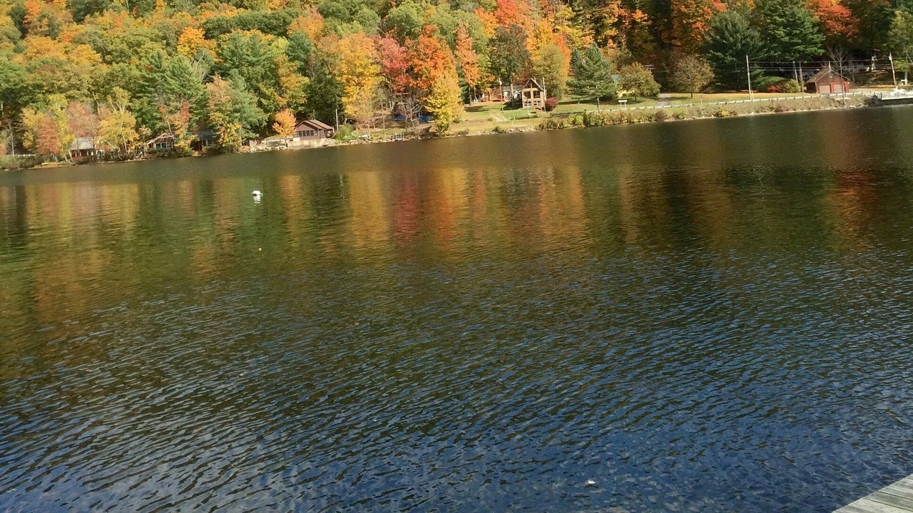 Photo of Others in Poultney