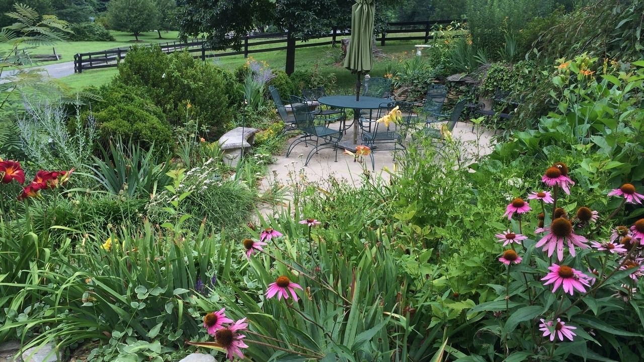 Photo of Outdoor in Middleburg