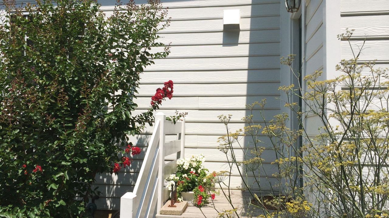 Photo of Outdoor in Middleburg
