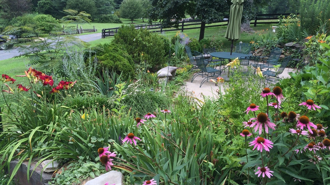 Photo of Outdoor in Middleburg