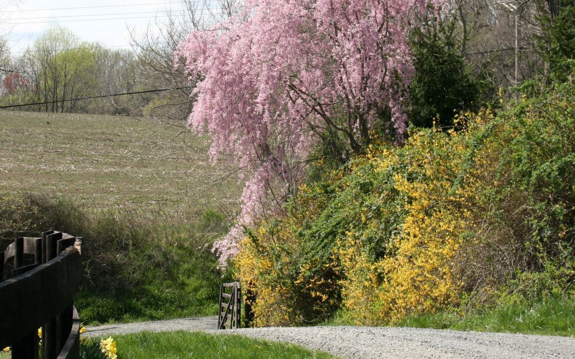 Photo of Outdoor in Middleburg