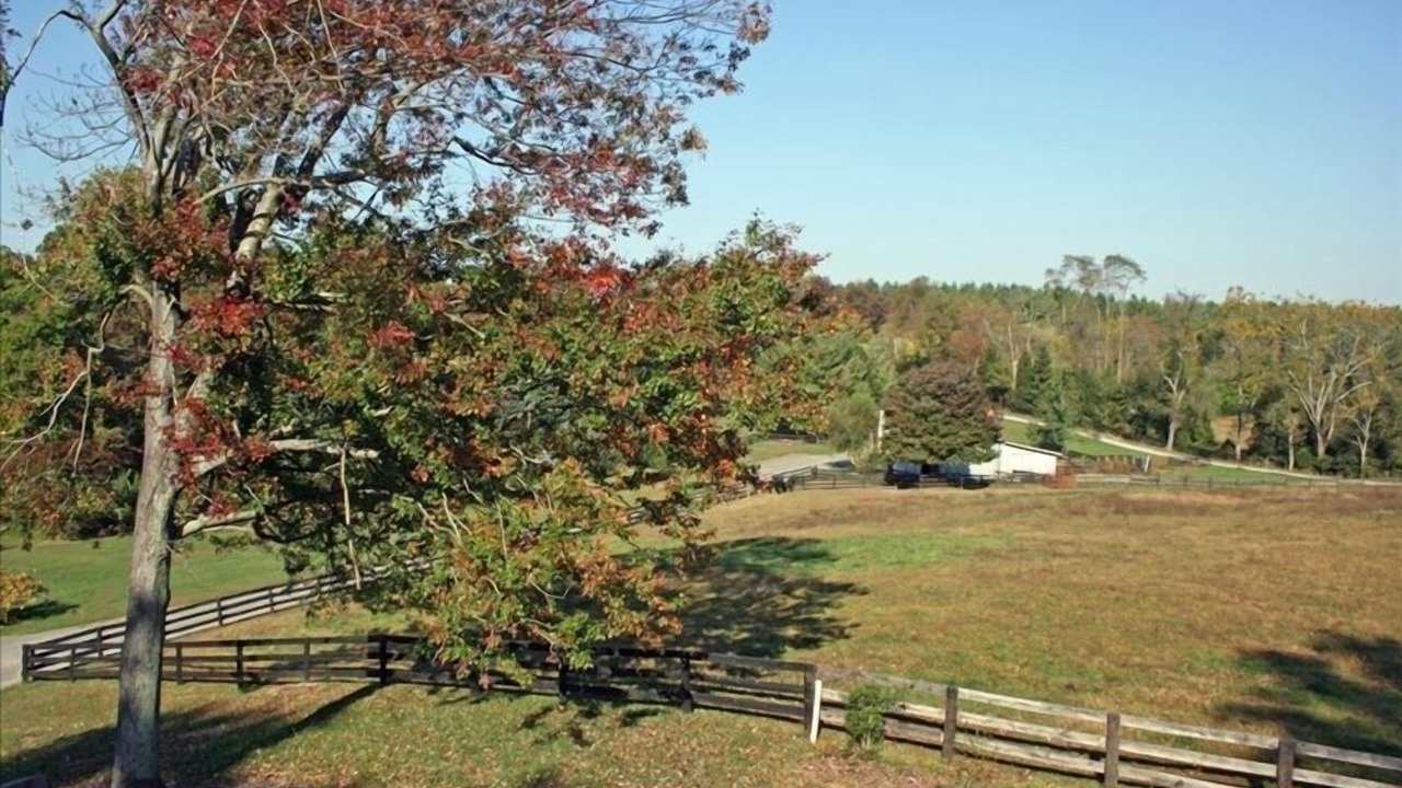 Photo of Others in Middleburg