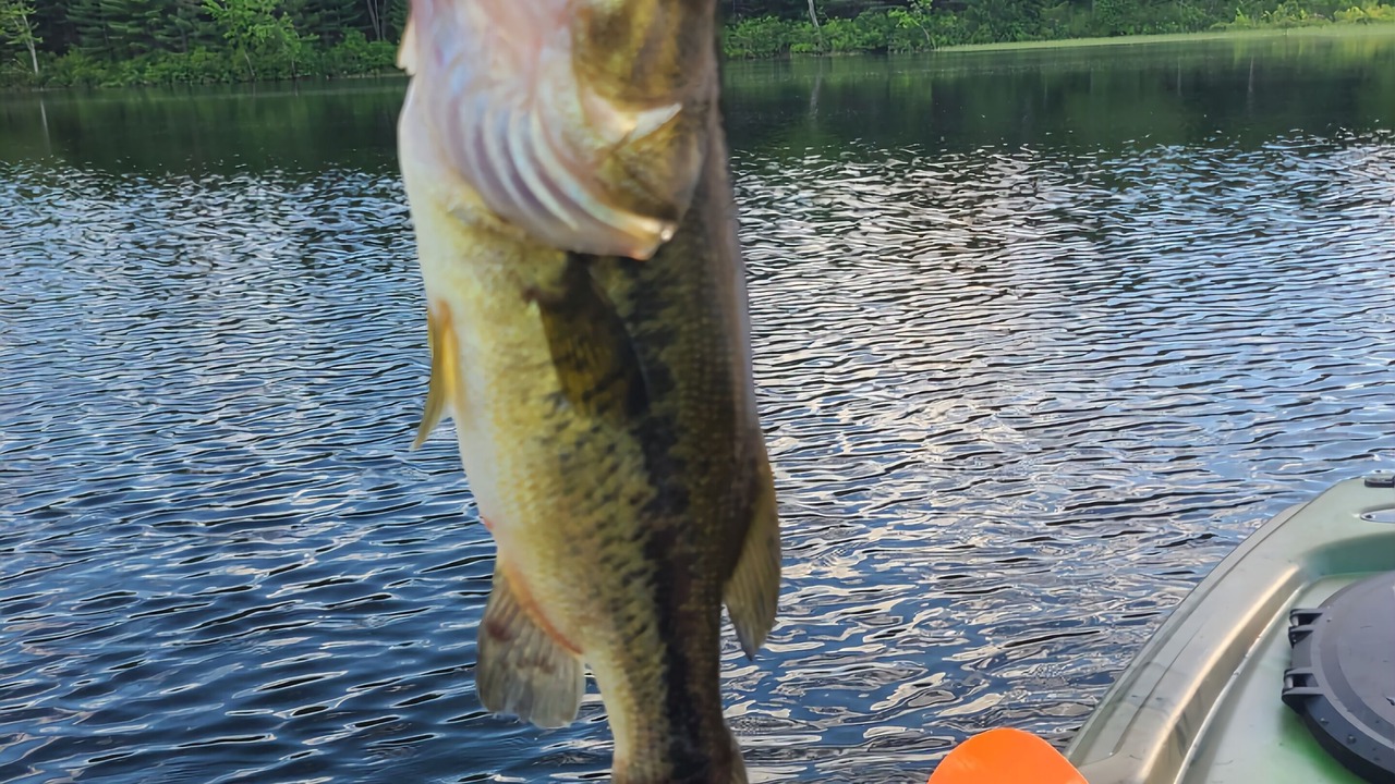 Photo of Others in Center Ossipee