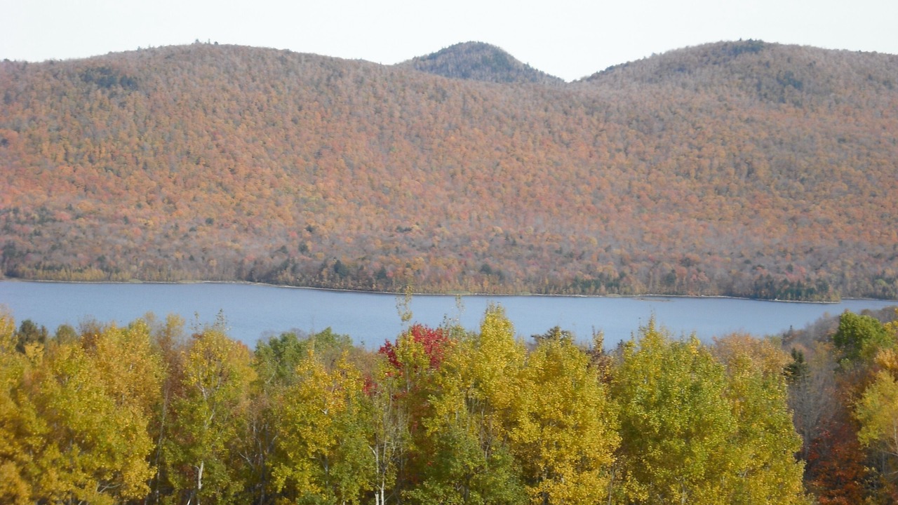Photo of Others in Chittenden