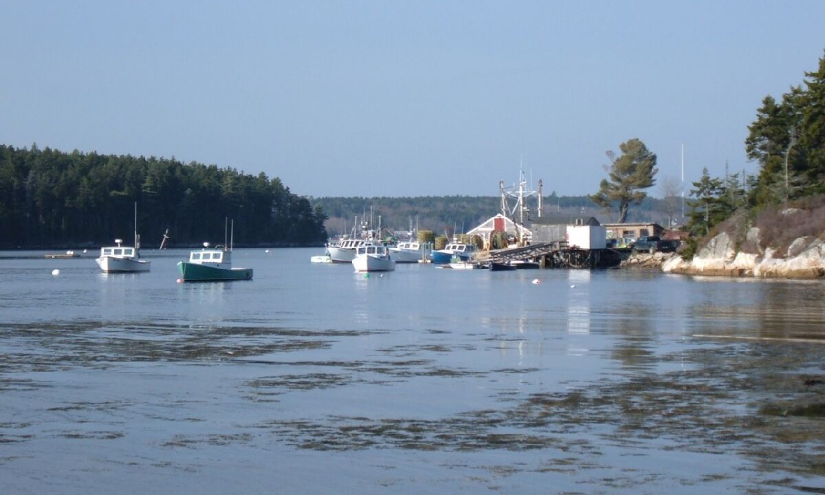 Photo of Others in Sebasco