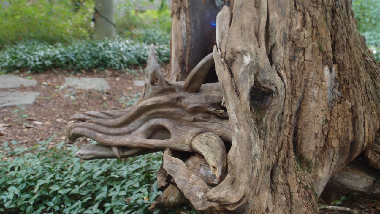 Photo of Outdoor in Colchester