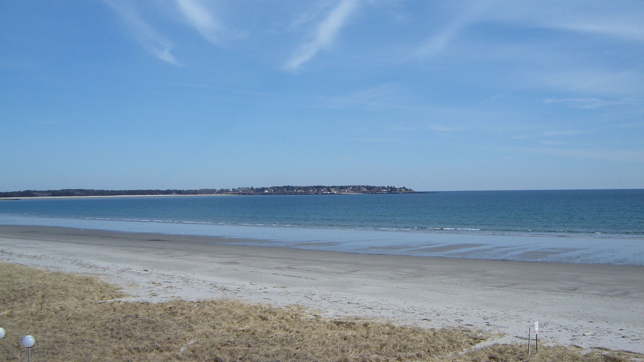 Photo of Others in Scarborough