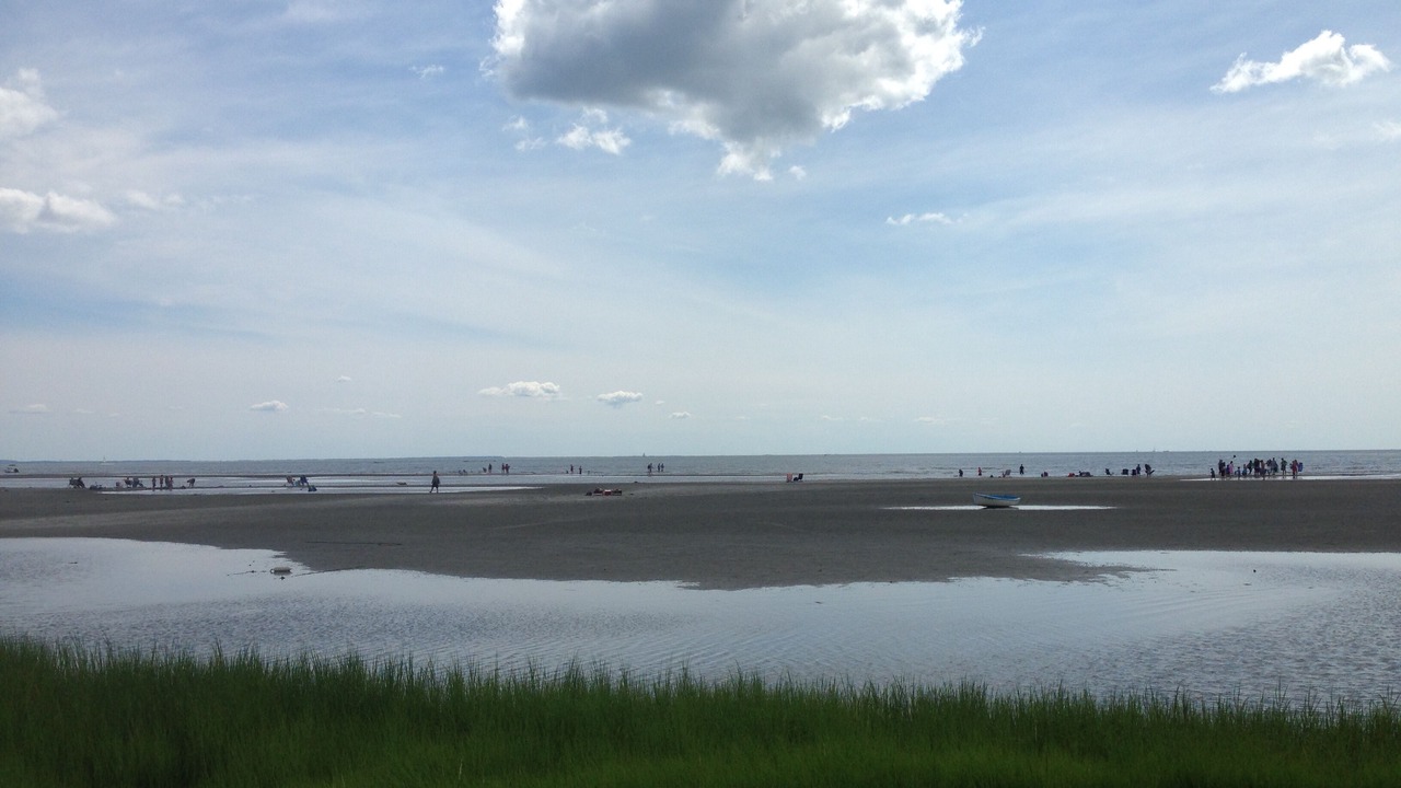 Photo of Others in Old Saybrook