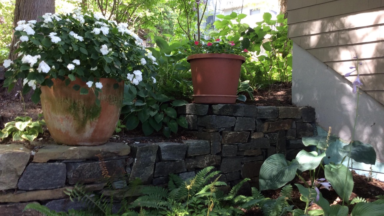 Photo of Outdoor in Poultney