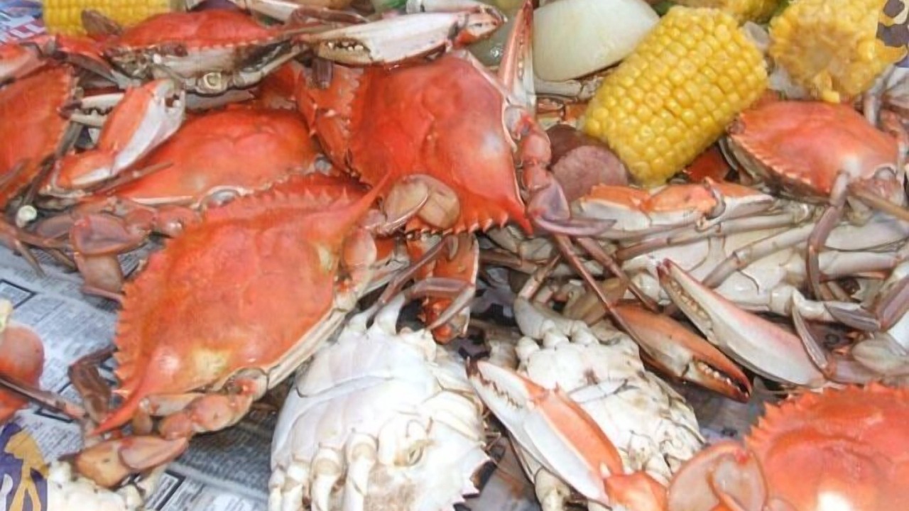 Photo of Others in Crisfield