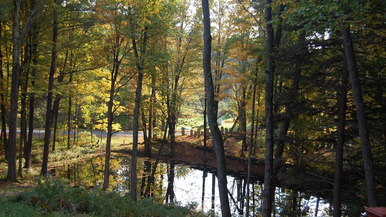 Photo of Outdoor in Shelburne