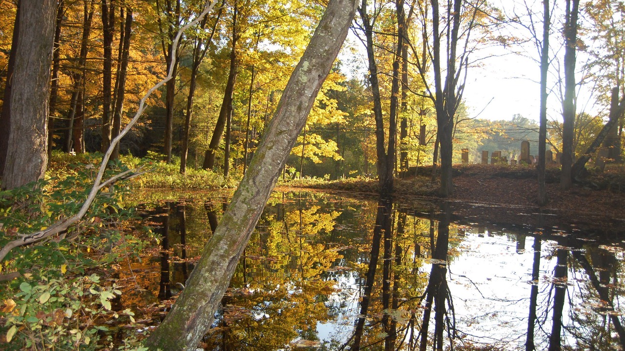 Photo of Outdoor in Shelburne