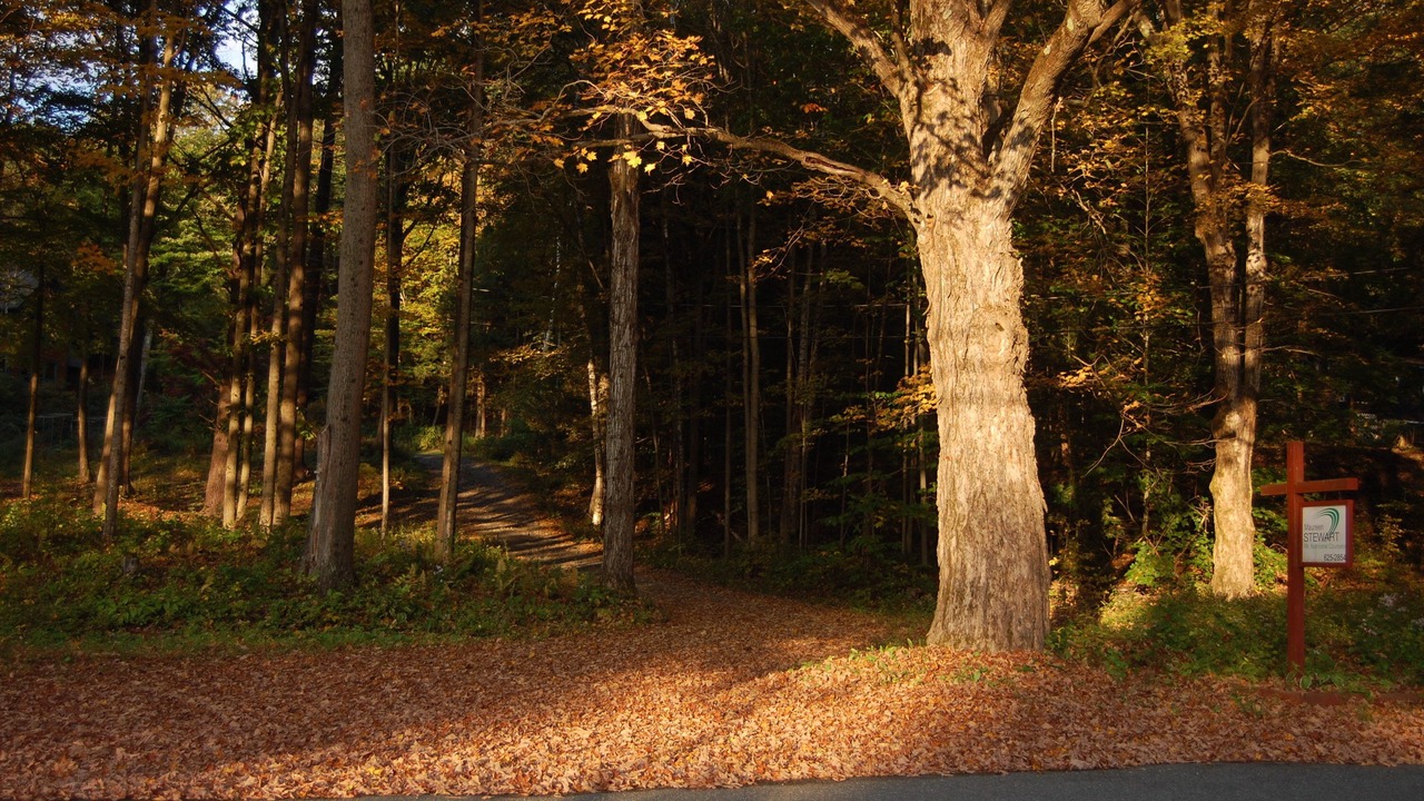 Photo of Outdoor in Shelburne