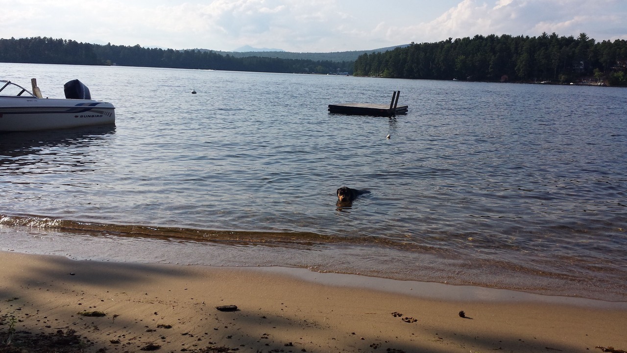Photo of Others in The Bays