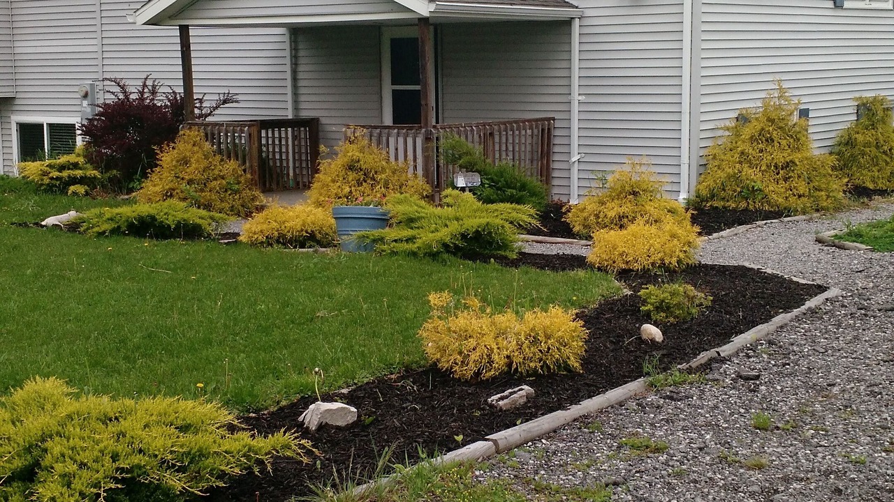 Photo of Outdoor in Youngstown