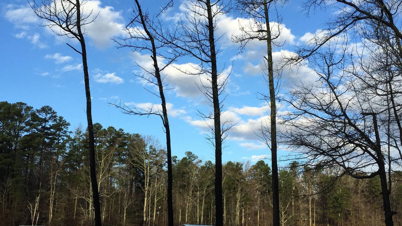 Photo of Outdoor in Merifield Acres