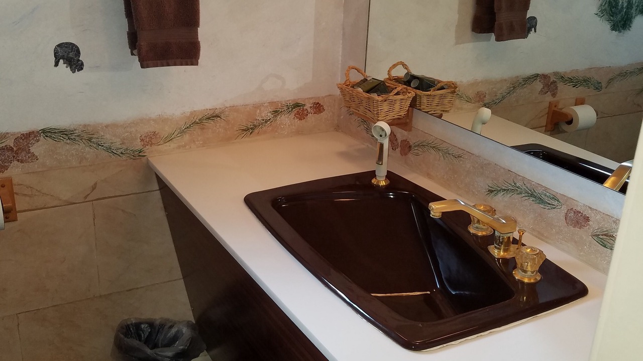 Photo of Bathroom in Swain
