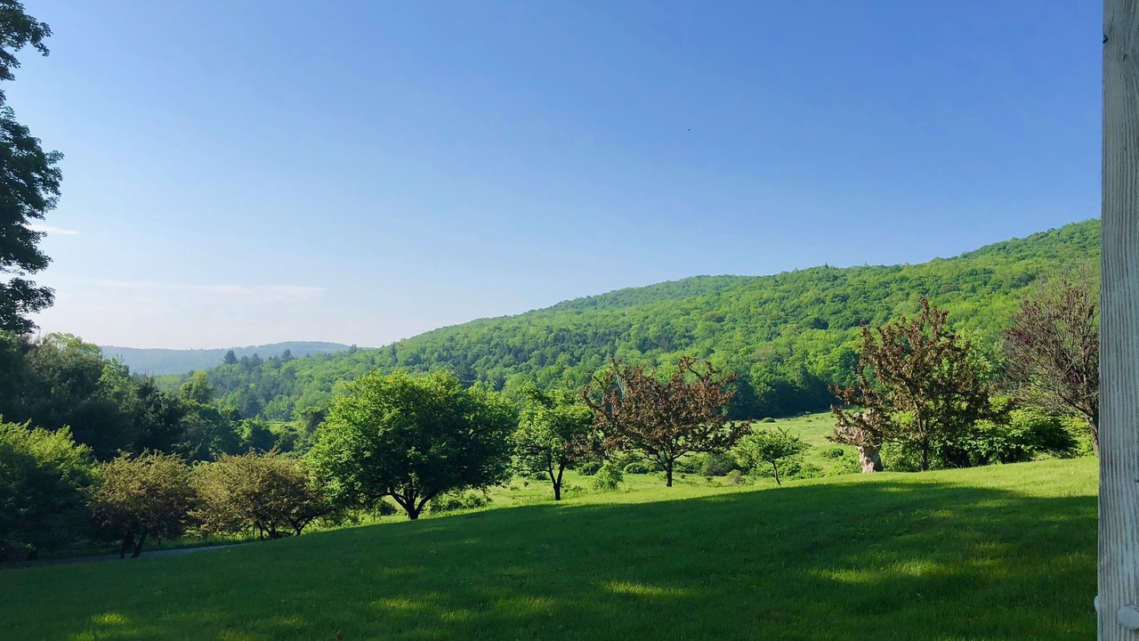 Photo of Others in Tyringham