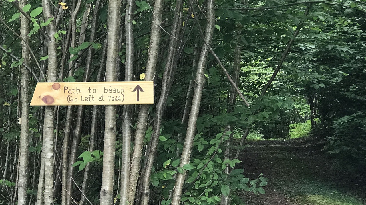 Photo of Outdoor in Wilmington