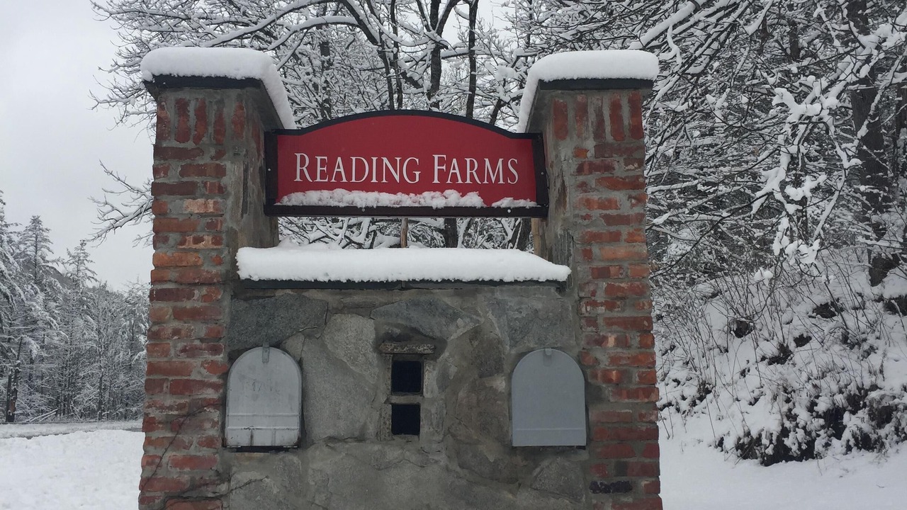 Photo of Others in Reading