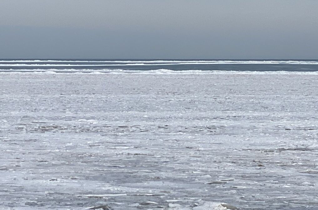Photo of Outdoor in Sandusky