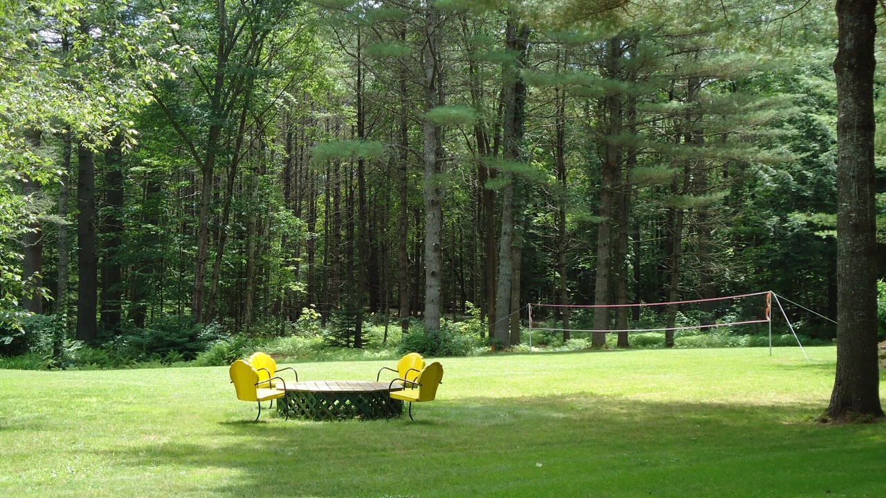 Photo of Others in Center Lovell