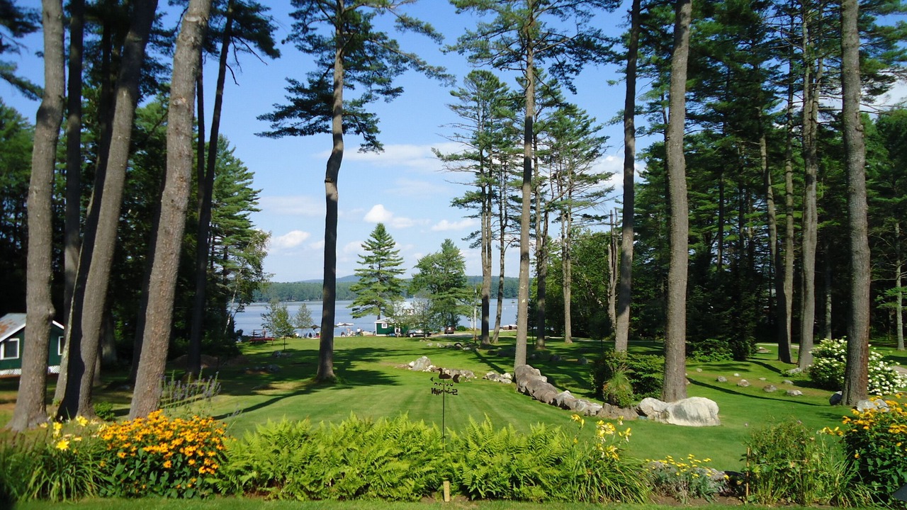 Photo of Outdoor in Center Lovell