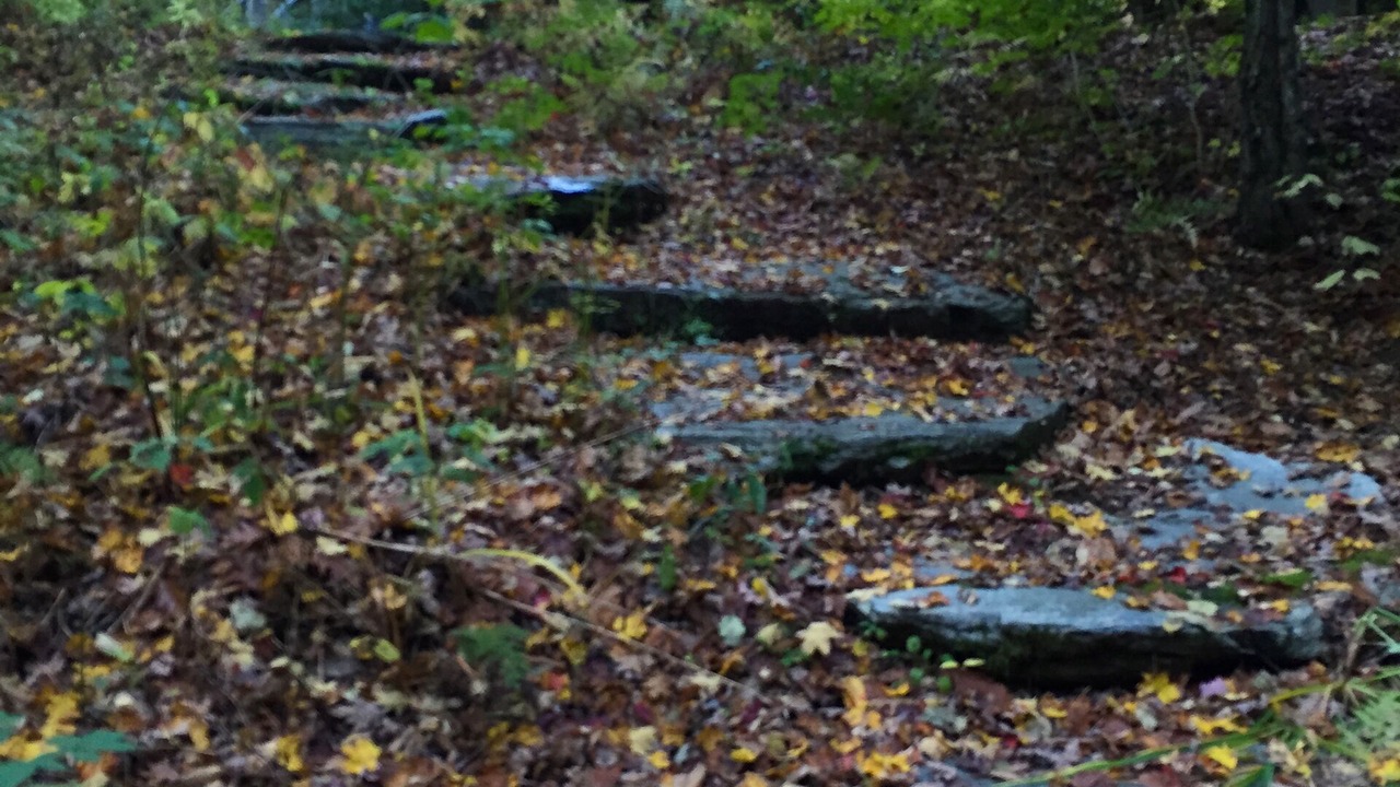 Photo of Outdoor in Plymouth