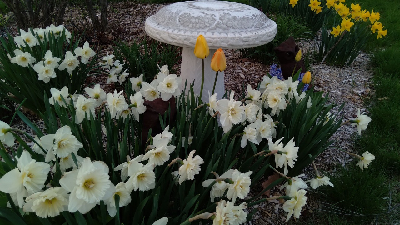 Photo of Outdoor in Campton