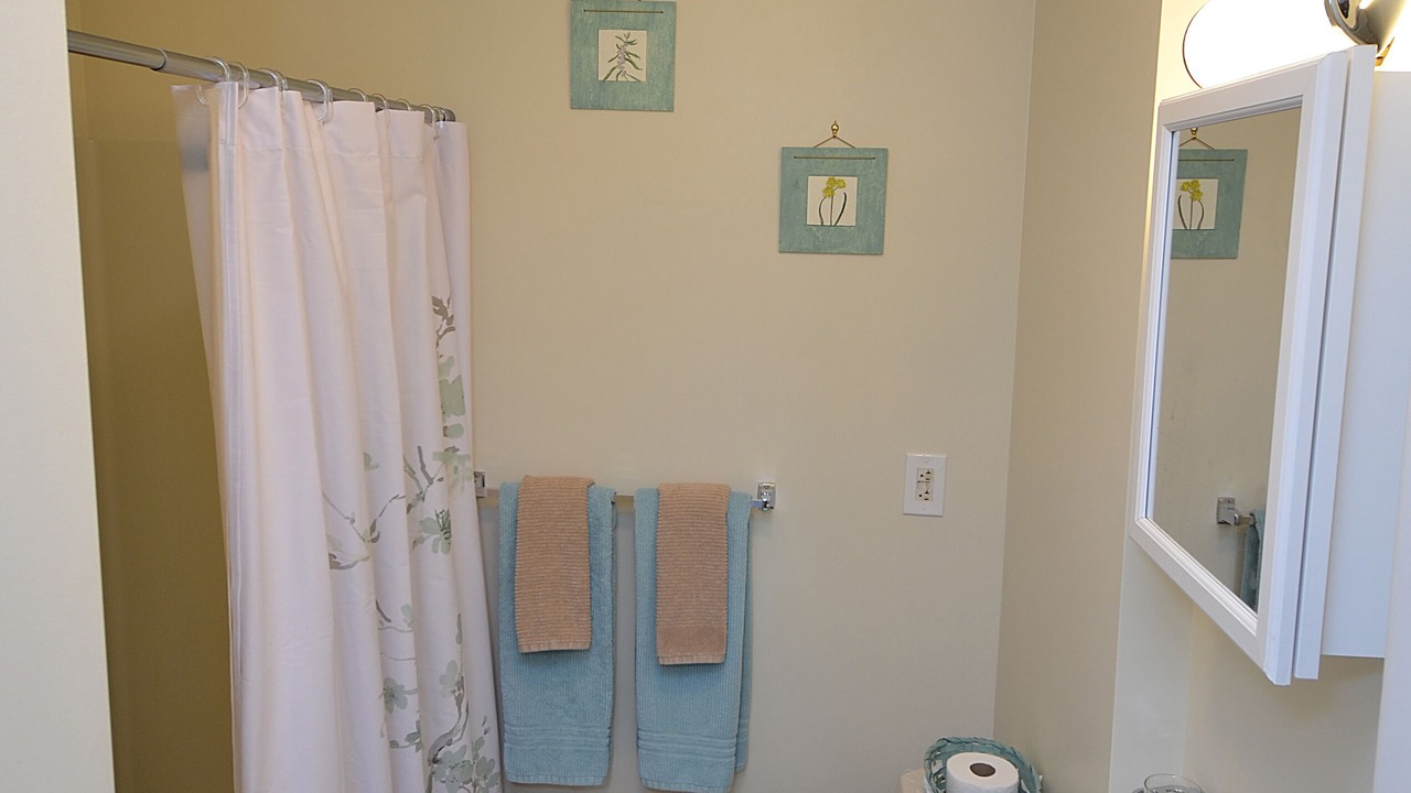 Photo of Bathroom in Williamstown