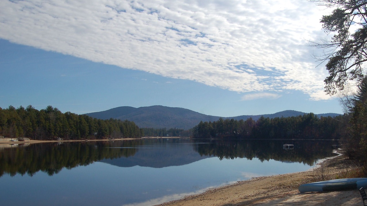 Photo of Others in The Bays