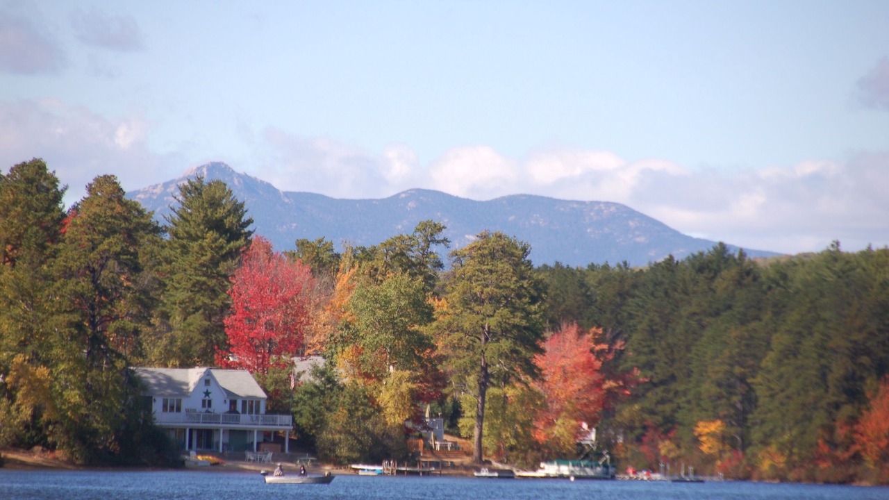 Photo of Outdoor in The Bays