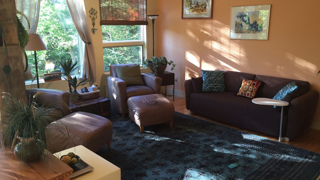 Photo of Livingroom in Bread Loaf