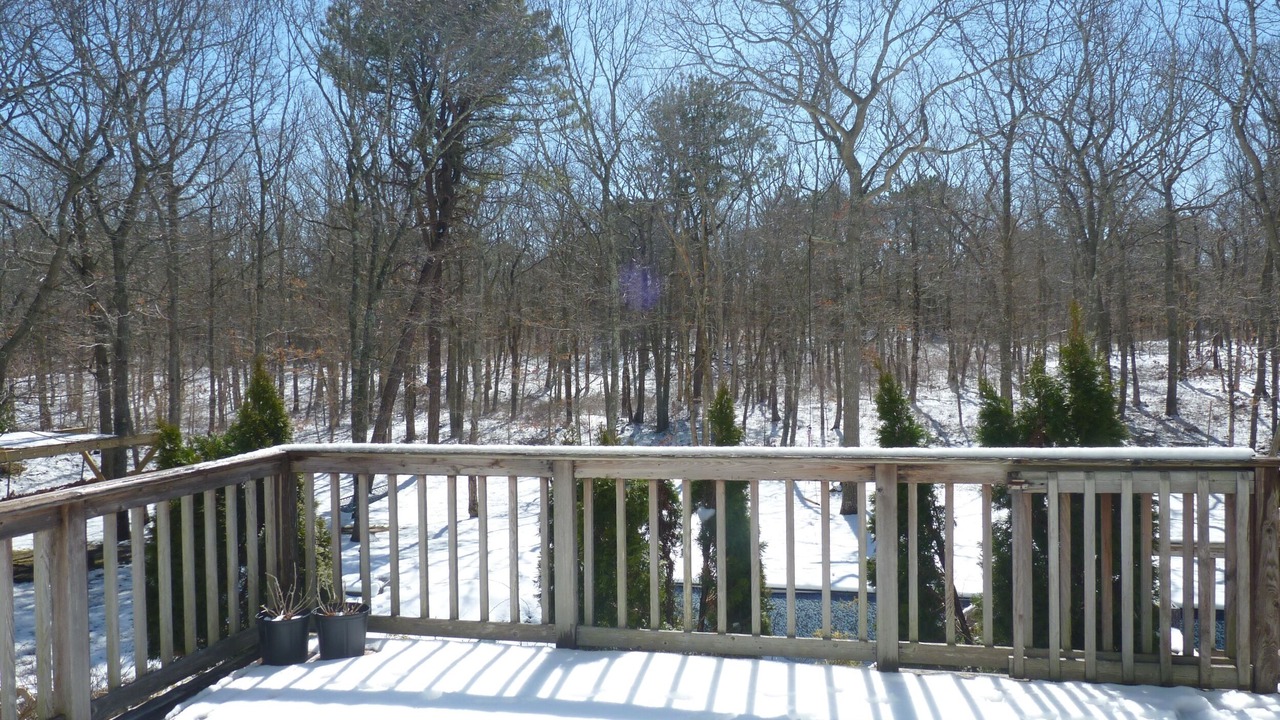 Photo of Others in Hampton Bays