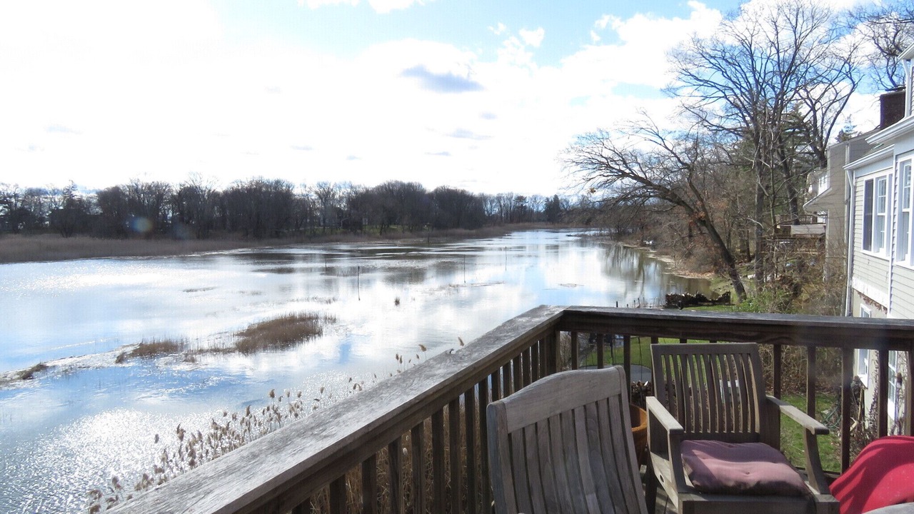 Photo of Outdoor in Mamaroneck