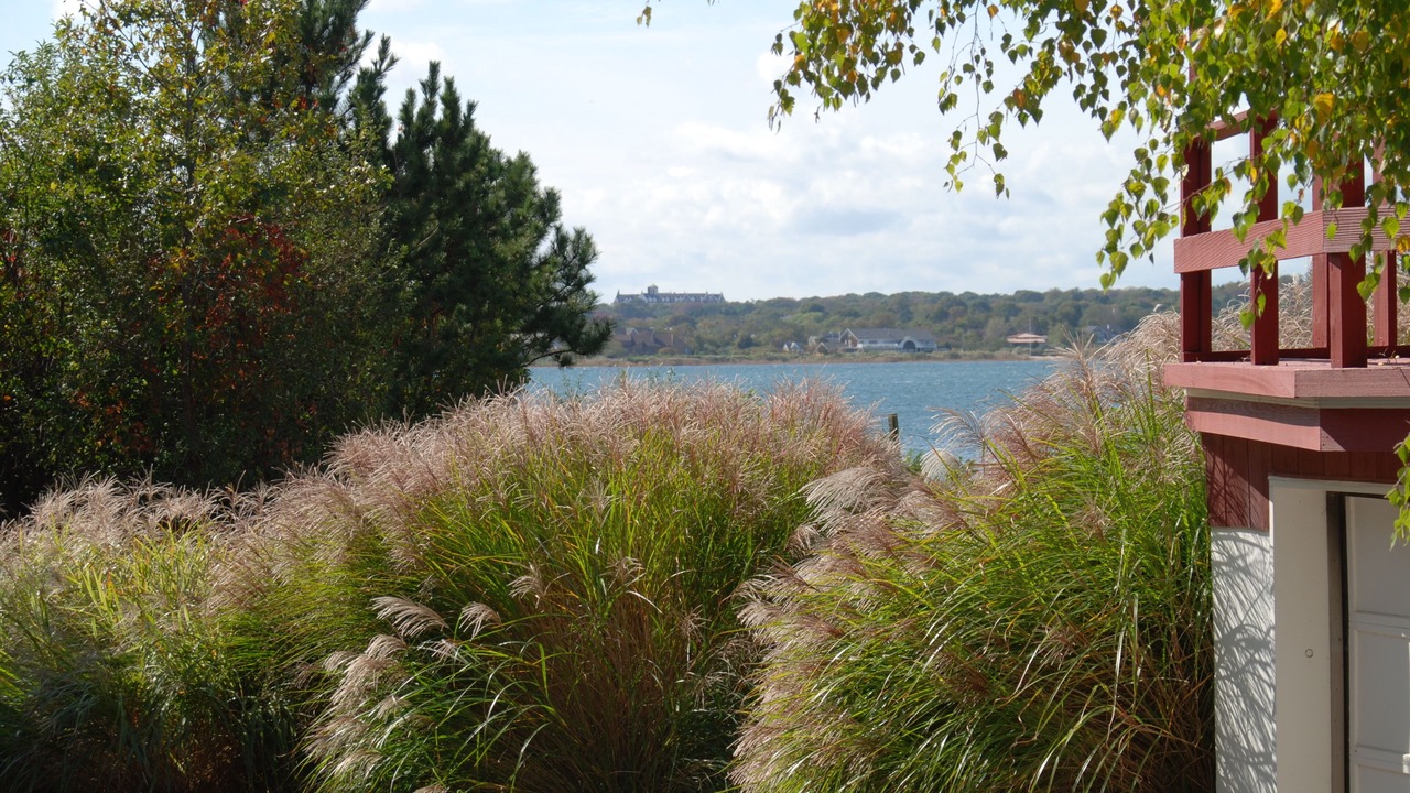 Photo of Outdoor in Montauk
