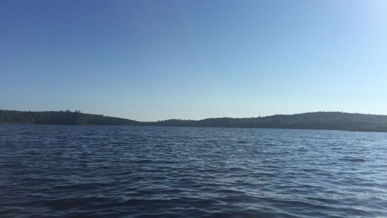 Photo of Others in Gouldsboro