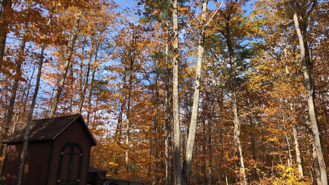 Photo of Outdoor in Moultonborough