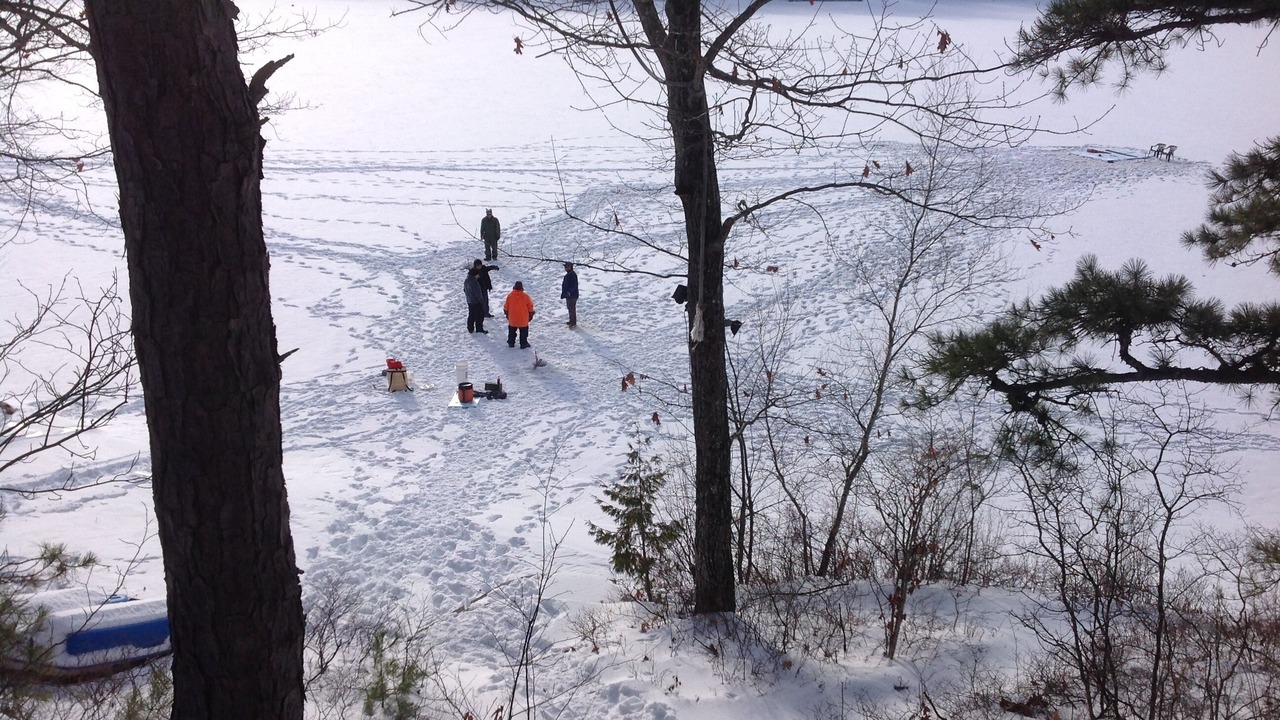 Photo of Others in The Bays