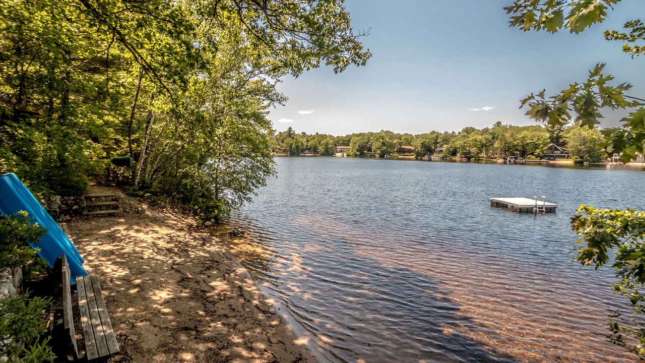 Photo of Others in The Bays