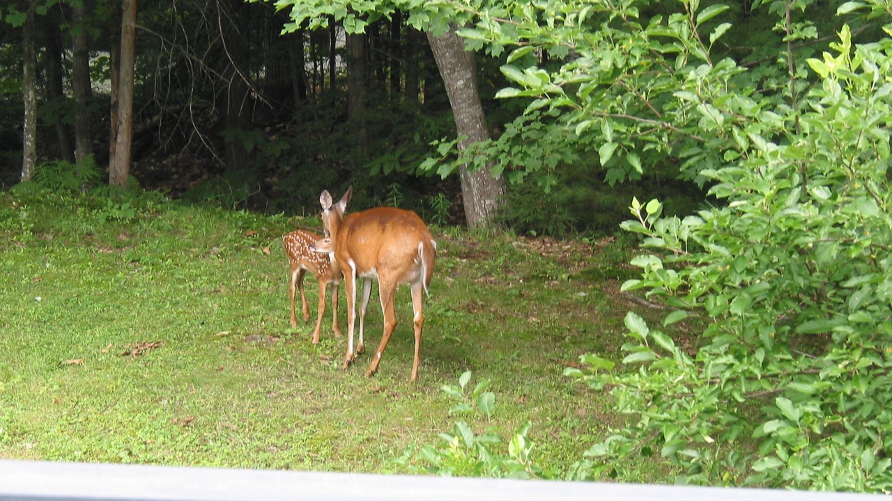 Photo of Others in Jackson