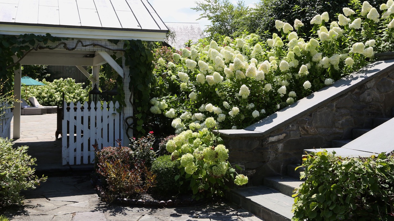 Photo of Outdoor in Staatsburg