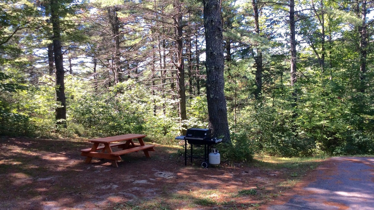 Photo of Outdoor in Shapleigh