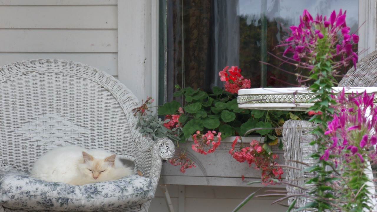 Photo of Outdoor in Marshfield