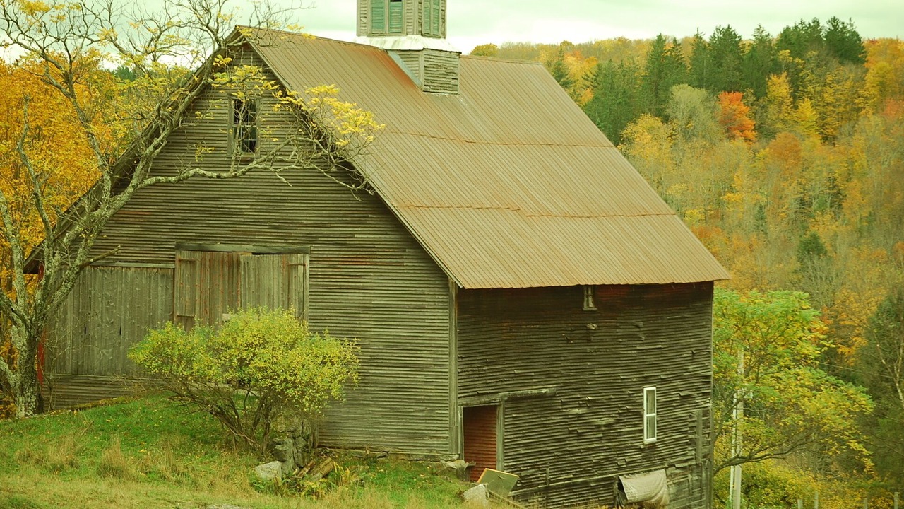 Photo of Outdoor in Marshfield