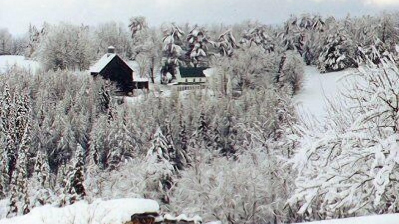 Photo of Others in Marshfield