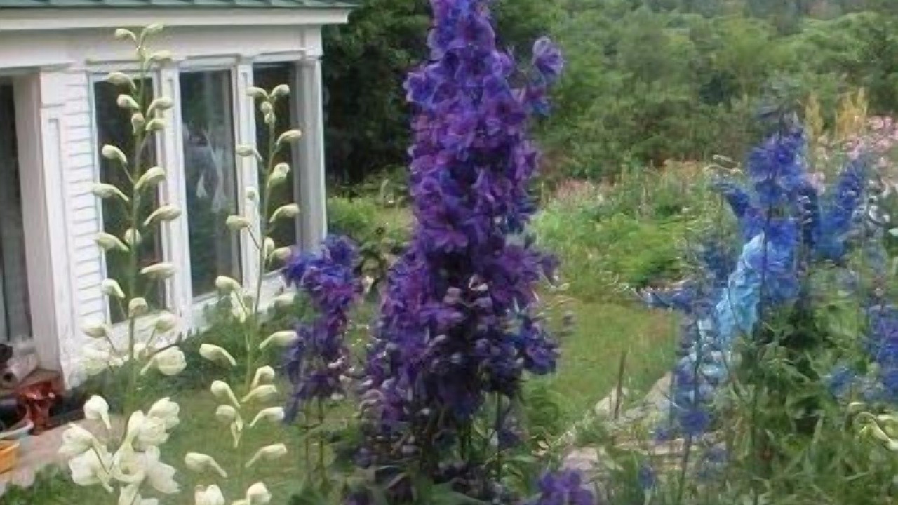 Photo of Outdoor in Marshfield