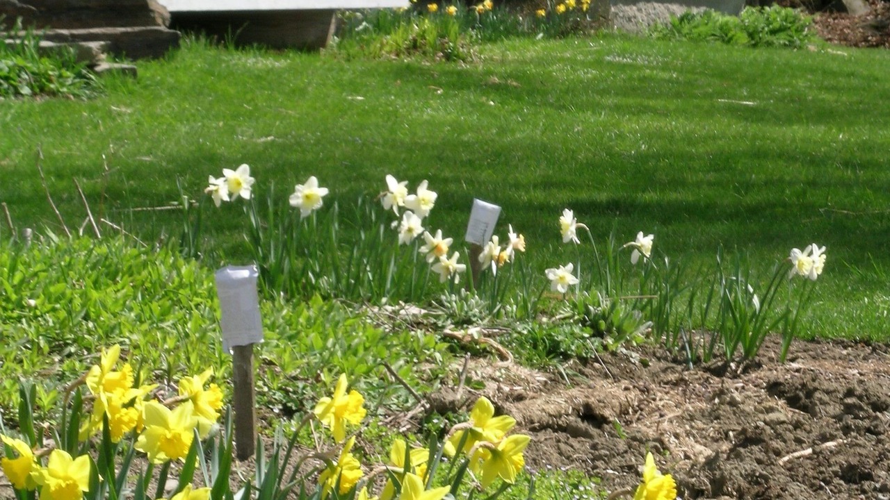 Photo of Outdoor in Marshfield